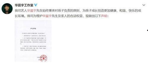 吃瓜系统吃了整个娱乐圈的小说,娱乐圈的神秘食客